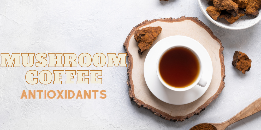 Mushroom Coffee Antioxidant Properties