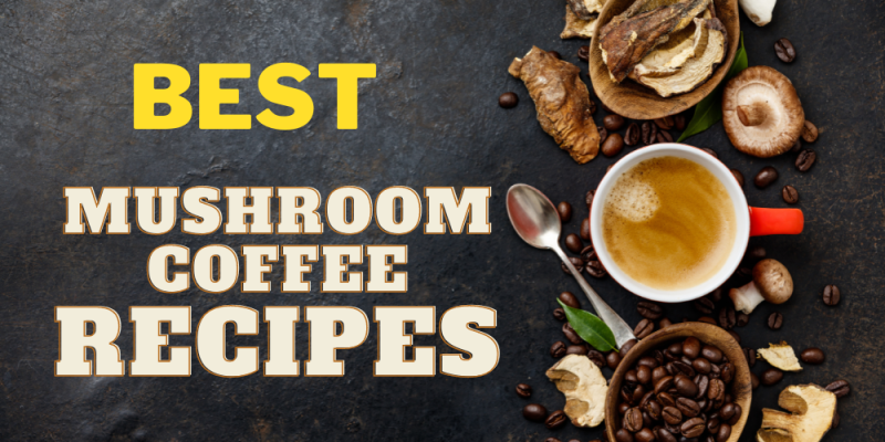The Best Mushroom Coffee Recipes for Energy and Focus