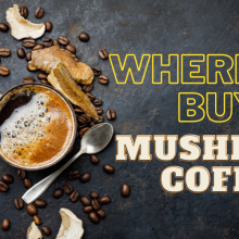 Where Can I Buy Mushroom Coffee