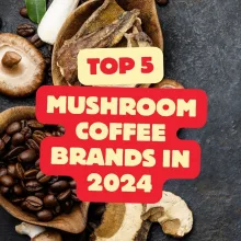 The Top 5 Best Mushroom Coffee Brands