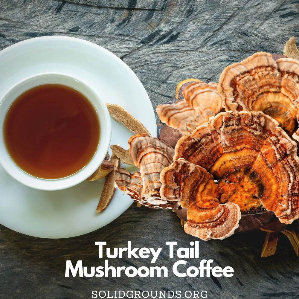 Turkey Tail Mushroom Coffee