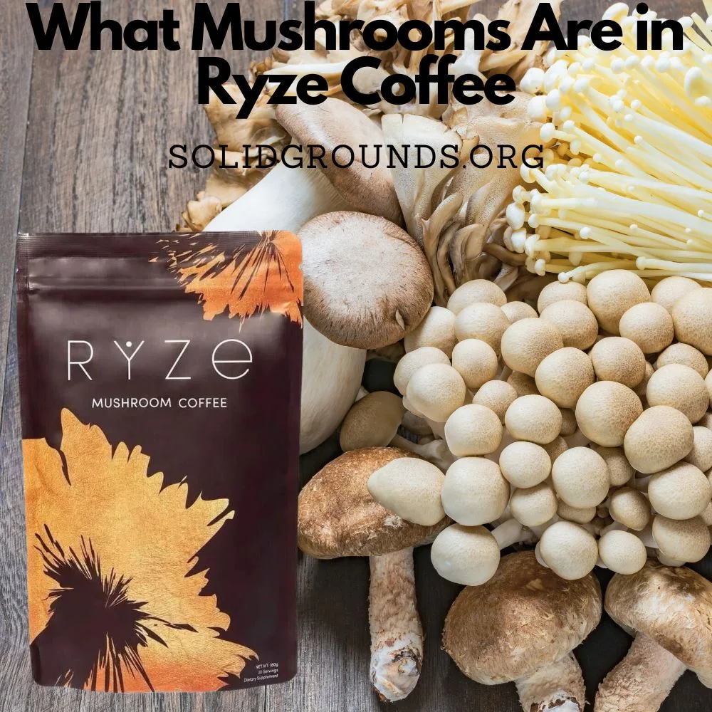What Mushrooms Are in Ryze Coffee